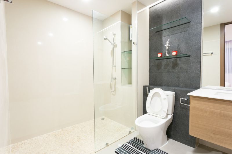 Shower Glass Replacement in Denver County, CO